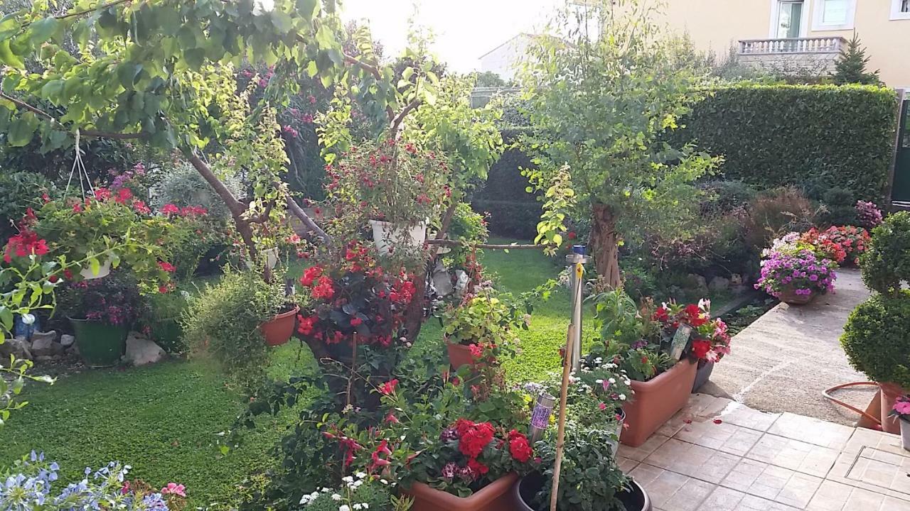 Apartmani Agard